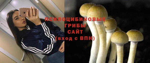 первитин Ладушкин