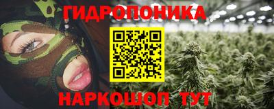мяу мяу мука Гусев