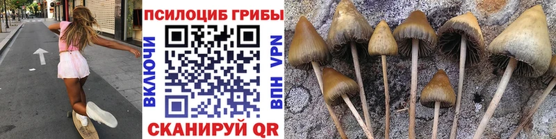 Галлюциногенные грибы Psilocybine cubensis  ОМГ ОМГ онион  Оренбург 
